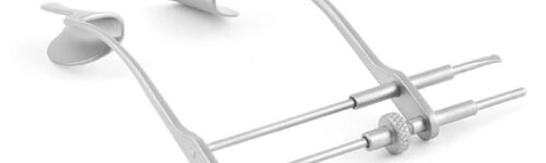 BANGERTER ADULT SPECULUM